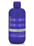 Шампунь для волосся с фиолетовыми пигментами Elgon Colorcare Silver Shampoo
