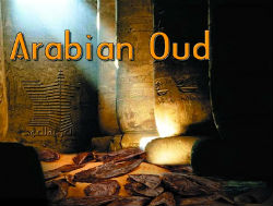 Arabian Oud 
