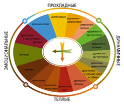 Как подобрать парфюм