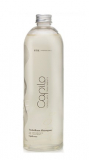 Eva Professional Capilo Technikum Shampoo #01 500 мл
