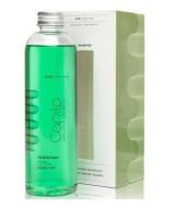 Eva Professional Capilo Ekilibrium Shampoo #08 250 мл