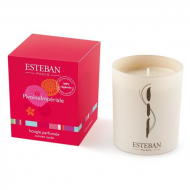 Esteban Pevoine Imperiale refill For Scented Candle Свічка парфумована (Декоративная , змінний блок)