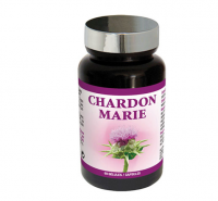 Effiness LIDK69 Nutriexpert РАСТОРОПША / CHARDON MARIE, 60 капсул