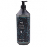 Black Professional Відновлюючий шампунь Black Jade Supreme Solution