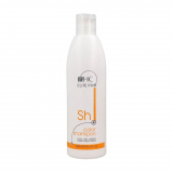 Hairconcept Шампунь для фарбованого волосся HairConcept Elite Pro Color