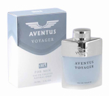 Парфумерія Art Parfum AVENTUS VoyageR Аналог Dior Homme Sport туалетна Вода 90мл