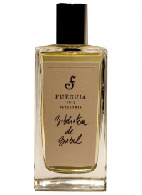 Fueguia 1833 Biblioteca de Babel