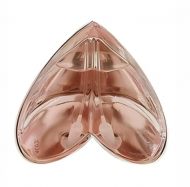 Alexander McQueen Kingdom Limited Edition Beige туалетна вода 50 мл