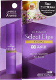 Omi Brotherhood Бальзам для губ Select Lips AROMA 4г. 4987036966417