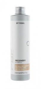 By Fama Professional By Fama Recovery Shampoo, Шампунь для жирної шкіри з лупою 250мл