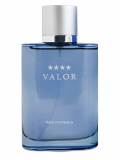 Dana Valor Eau de Toilette for Men туалетна вода 100 мл