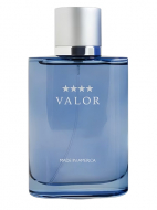 Dana Valor Eau de Toilette for Men туалетна вода 100 мл