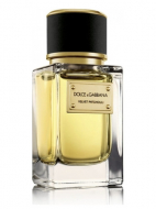 Dolce & Gabbana D&G Velvet Collection PACHOULI