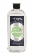 Esteban White Tea & Ylang Ylang Аромат для дому (змінний блок) 150 мл