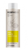 Framesi Morphosis Balance Shampoo Шампунь для жирної шкіри голови