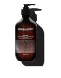 Grown Alchemist Shampoo для щоденного використання, слухняність і сила волосся 500 мл тестер