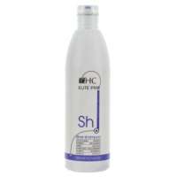 Hairconcept Шампунь проти жовтизни Hair Concept Color&Color Servise Silver Shampoo 300 мл