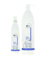 Hairconcept Silver Shampoo Шампунь, нівелюючий жовтий пігмент