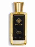 Mullium SIMPLY the BEST men парфумована вода для чоловіків 100 мл