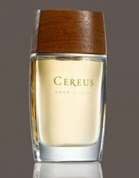 Cereus No. 7