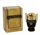 ART Parfum Olympus MAXIMUM