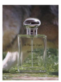 Parfums et Senteurs du Pays Basque 18 Place des Vosges - Esprit de Parfum 100 мл (Vip)