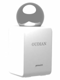 Pernoire Oudian Parfum