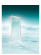 Porsche Design PORSHE Design the Essence Summer Ice