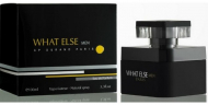 PRESTIGE Parfums WHAT ELSE men парфумована вода для чоловіків