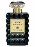 Spirit Of Kings Vigor 100 ML