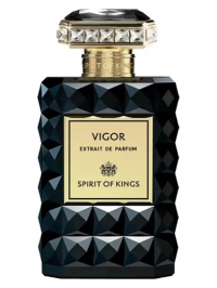 Spirit Of Kings Vigor 100 ML