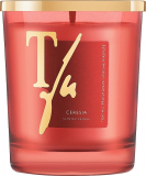Teatro Fragranze Uniche CERESIA SCENTED CANDLE 180G