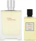 TERRE DHermes EAU GIVREE set (парфумована вода 100 ml + 80 ml гель для душу)