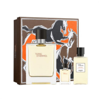 Terre DHermes set (туалетна вода 100 мл +40 парфумований гель для душу +5 ml mini)