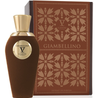 V Canto Giambellino парфумована вода тестер 100 мл