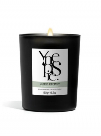 Ynepsie Home Jardin Defendu Candle